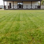 white and black wooden house on green grass field